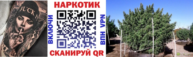 Купить закладку Псилоцибиновые грибы  Кокаин  Меф  МЕТАМФЕТАМИН  Гашиш  Alpha-PVP  АМФЕТАМИН  Конопля  Горячий Ключ
