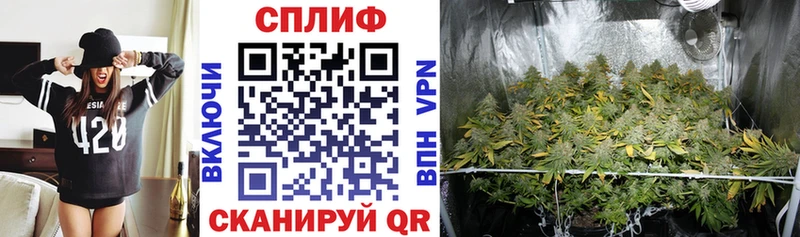 Купить закладки  Горячий Ключ  Шишки марихуана LSD WEED 